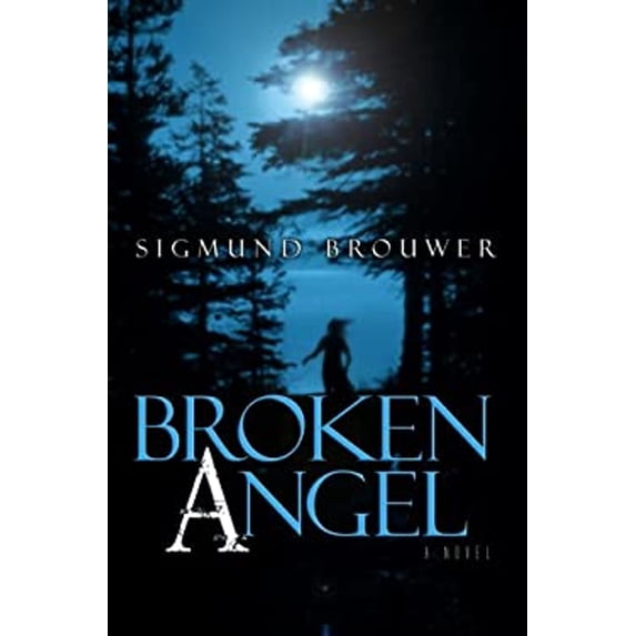 Pre-Owned Broken Angel (Library Binding) 9781602852709