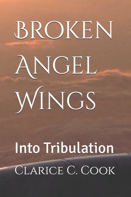 Broken Angel Wings - Into Tribulation Broken Angel Wings: Into Tribulation, Book 1, (Paperback)