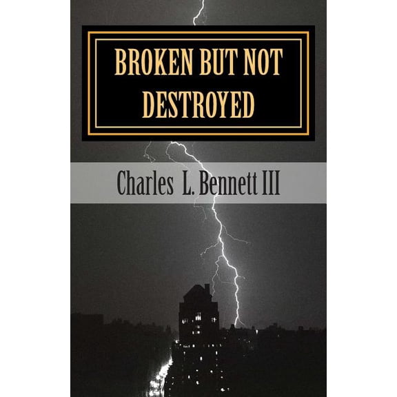Broken But Not Destroyed: Overcoming my felonies with Christ (Paperback)