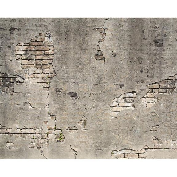 Broken Concrete Wall Mural