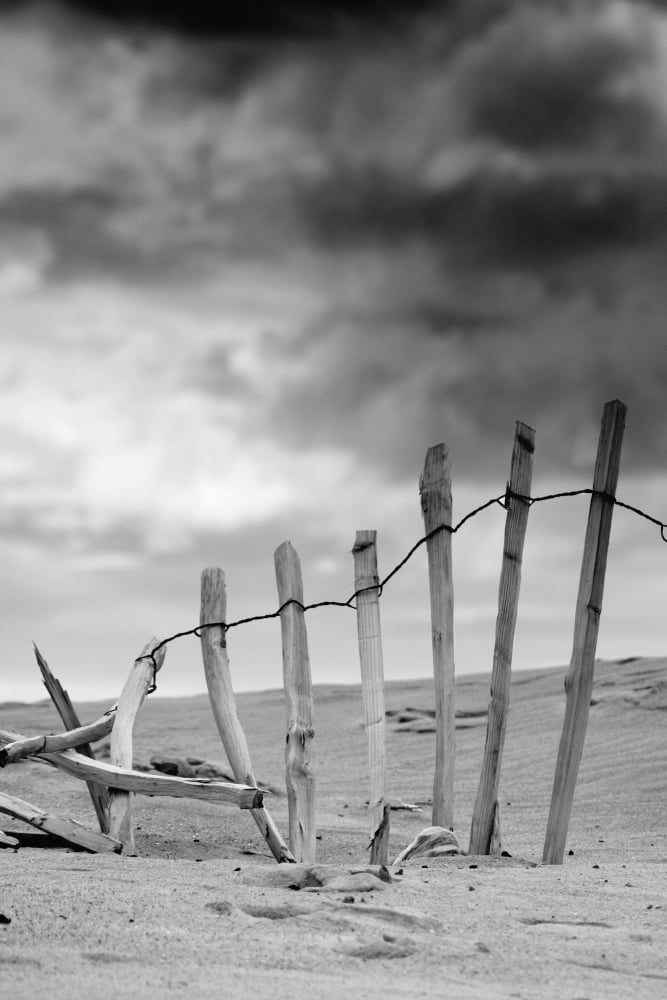 Broken Fence In Dune South Shields Tyne And Wear England Europe Canvas Art - John Short Design Pics (11 x 17)