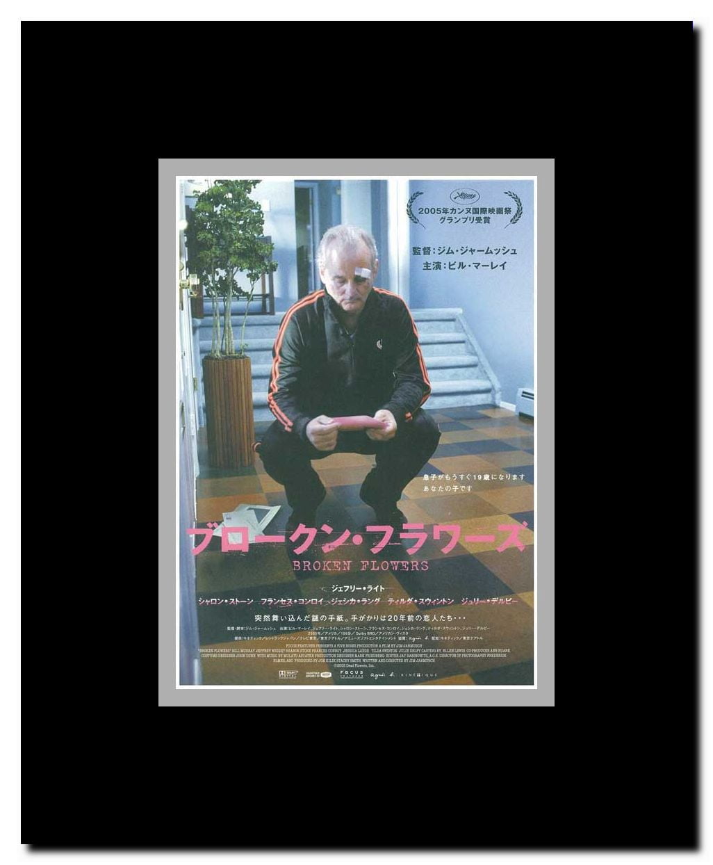 Broken Flowers Framed Movie Poster