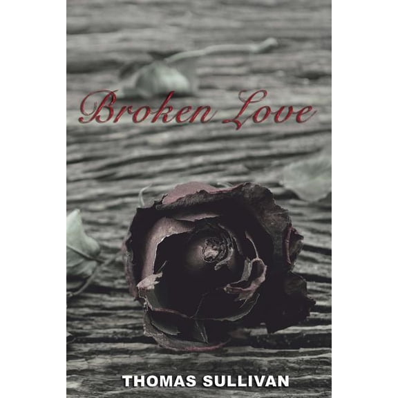 Broken Love (Paperback)