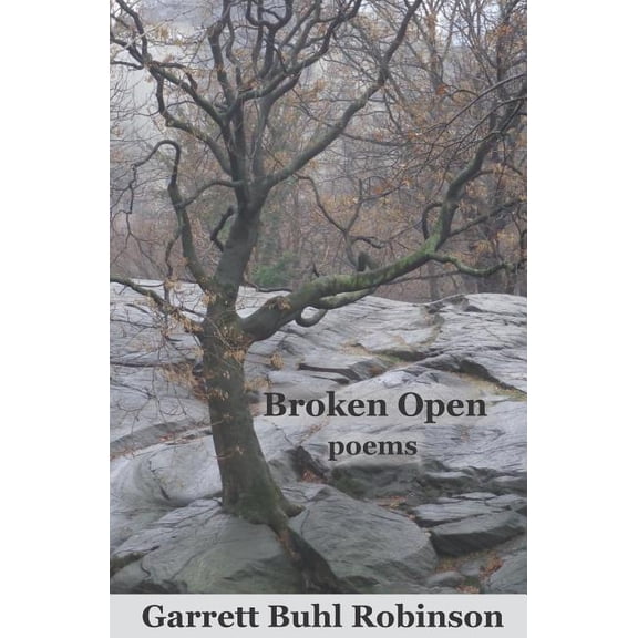Broken Open (Paperback)
