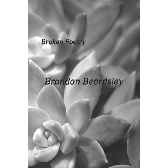 Broken Poetry Paperback 1795510625 9781795510622 Brandon Beardsley