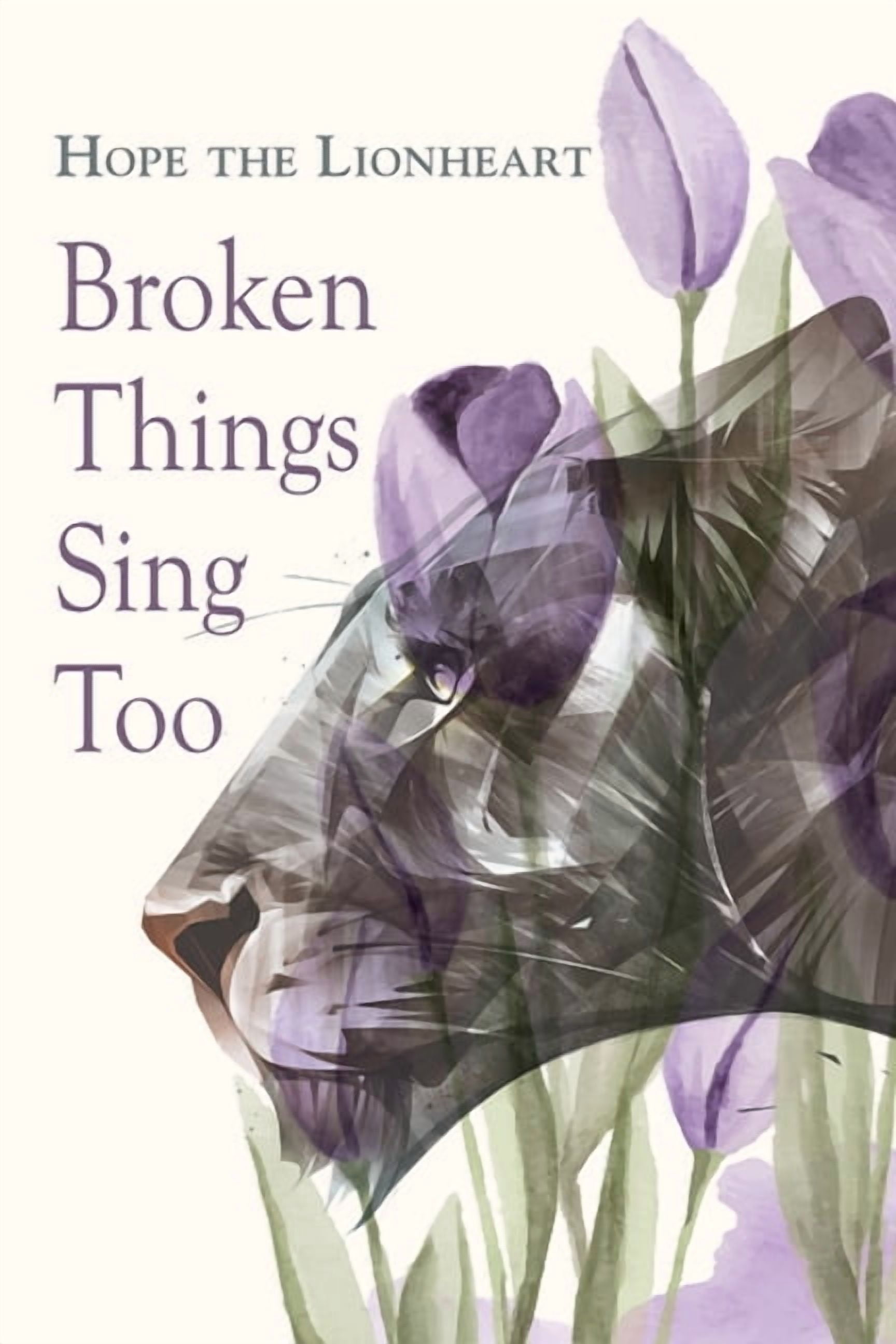 Broken Things Sing Too, (Hardcover)
