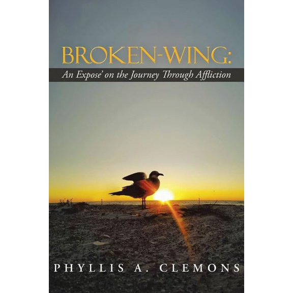 Broken-Wing: An Expose' on the Journey Through Affliction, (Paperback)