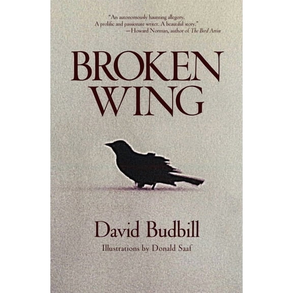 Broken Wing (Paperback)