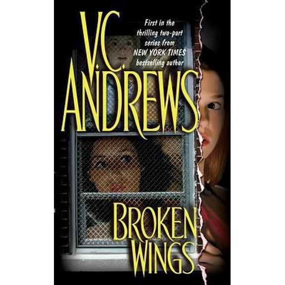 Pre-Owned Broken Wings (Mass Market Paperback) 0671039970 9780671039974