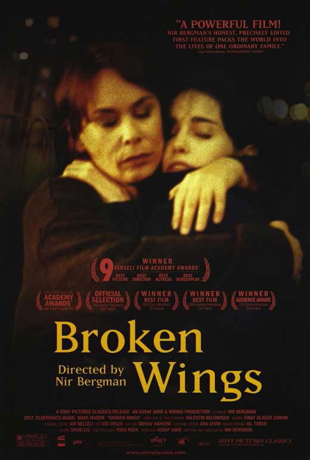 Broken Wings movie POSTER (Style A) (11" x 17") (2002)