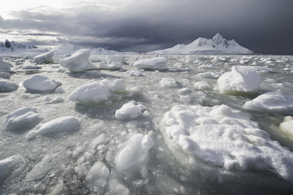 Broken sea ice in Wilhelmina Bay on a stormy day Antarctic Peninsula Canvas Art - Daisy Gilardini Design Pics (19 x 12)