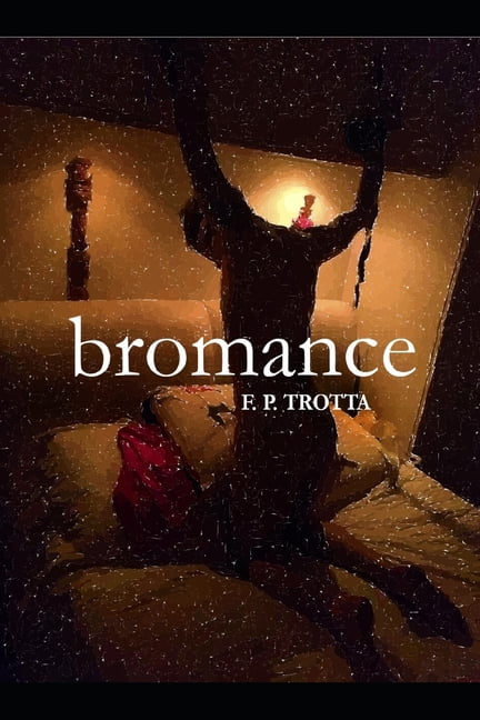 Bromance : An Erotic & True Crime Story (Paperback)