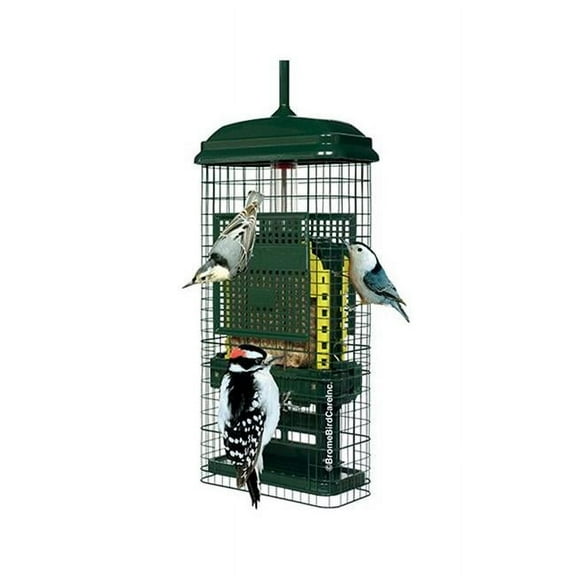 Brome Squirrel Buster Suet Feeder