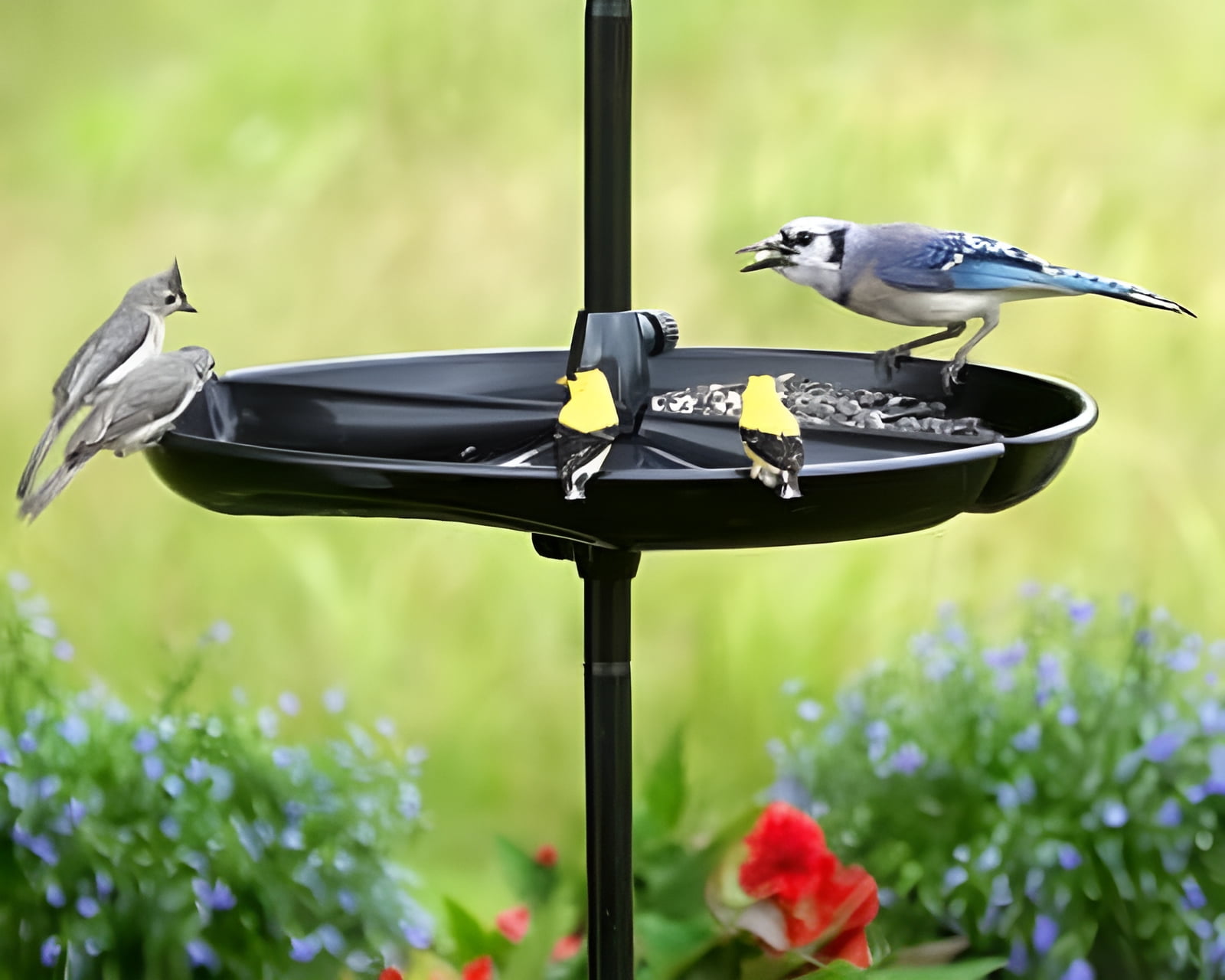 Bird supplies walmart sale