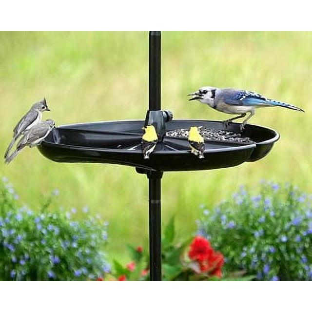 Brome Bird Care Seed Buster Seed Tray Catcher (1020) Eliminates Ground ...