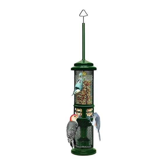 Brome Squirrel Buster Squirrel-Proof Bird Feeder for Nuts