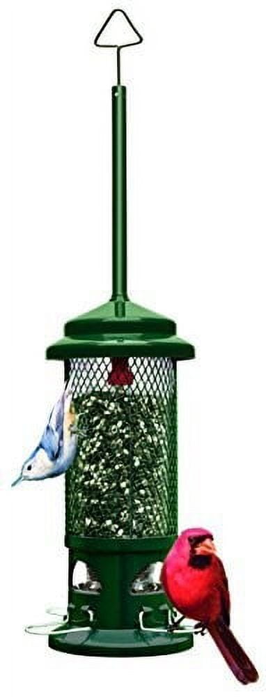 Brome Squirrel Buster Standard Wild Bird Feeder with 4 Metal Perches, 1.3 lb Seed Capacity, 13.25"