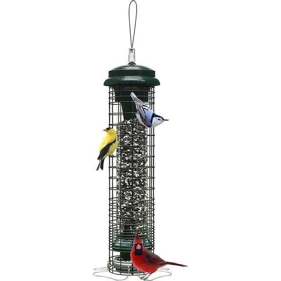 Brome Squirrel Solution 150 Squirrel-Proof Bird Feeder w/4 Stainless Steel perches, 2.6lbs Seed Capacity, Seed Funnel Included