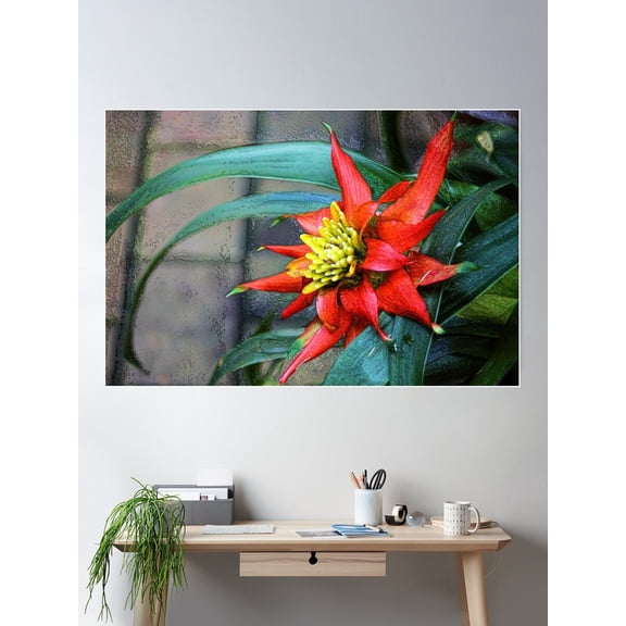 Bromelaid In Bloom Poster Wall Art, Modern Wall Decor For Living Room Bedroom, 8x12 UNFRAMED