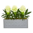 thumbnail image 1 of Bromeliad Artificial Plant in Stone Planter, 1 of 1