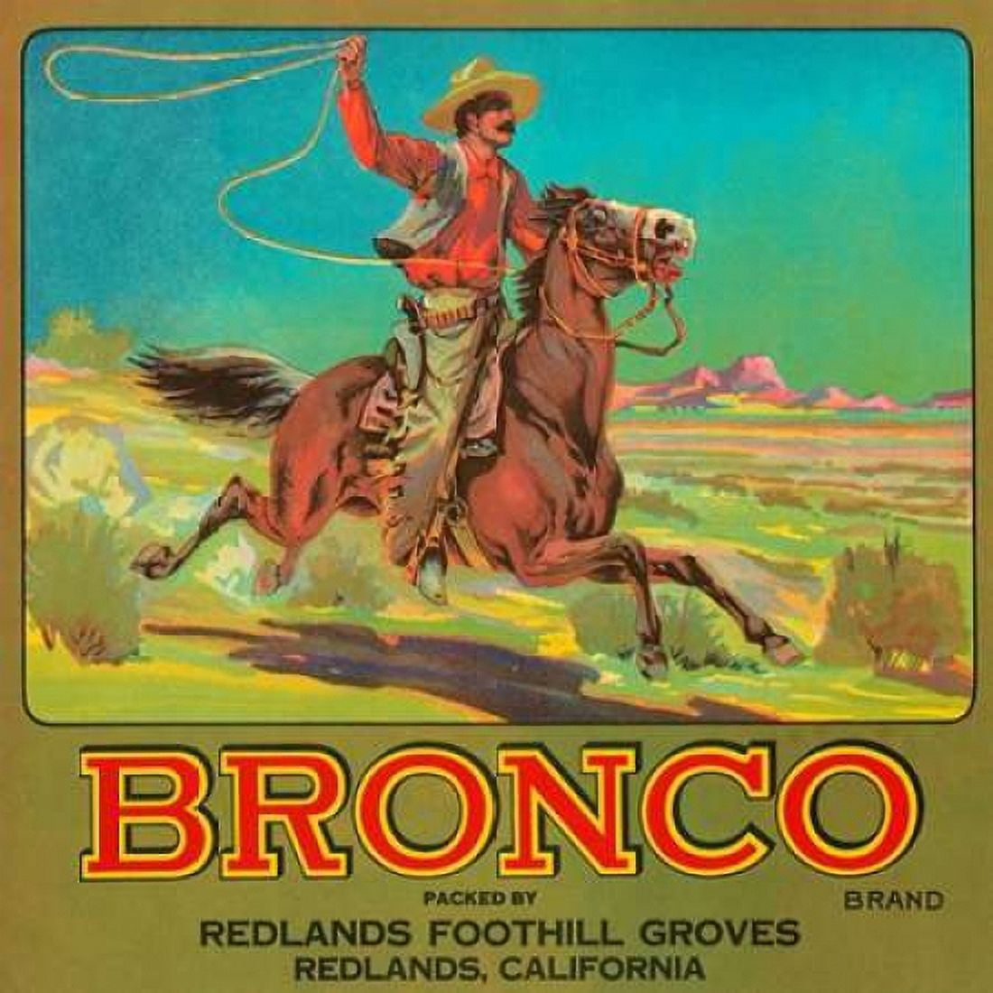 Bronco Brand Crate Label Canvas Art - Retrolabel (24 x 24)