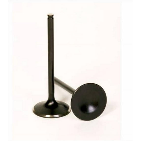 Bronco Products AU-09010I Replacement Intake Valve