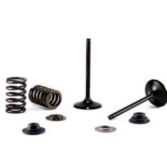 Bronco Products Au-09227I Bronco Intake Valve