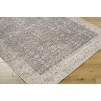 Bronia Traditional Area Rug - Charcoal, Ivory, Tan - 2'2" x 3'9"