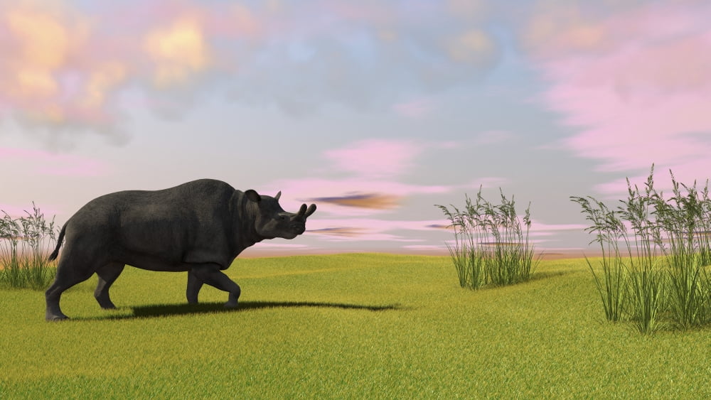 Brontotherium grazing in prehistoric grasslands Canvas Art - Kostyantyn IvanyshenStocktrek Images (19 x 11)