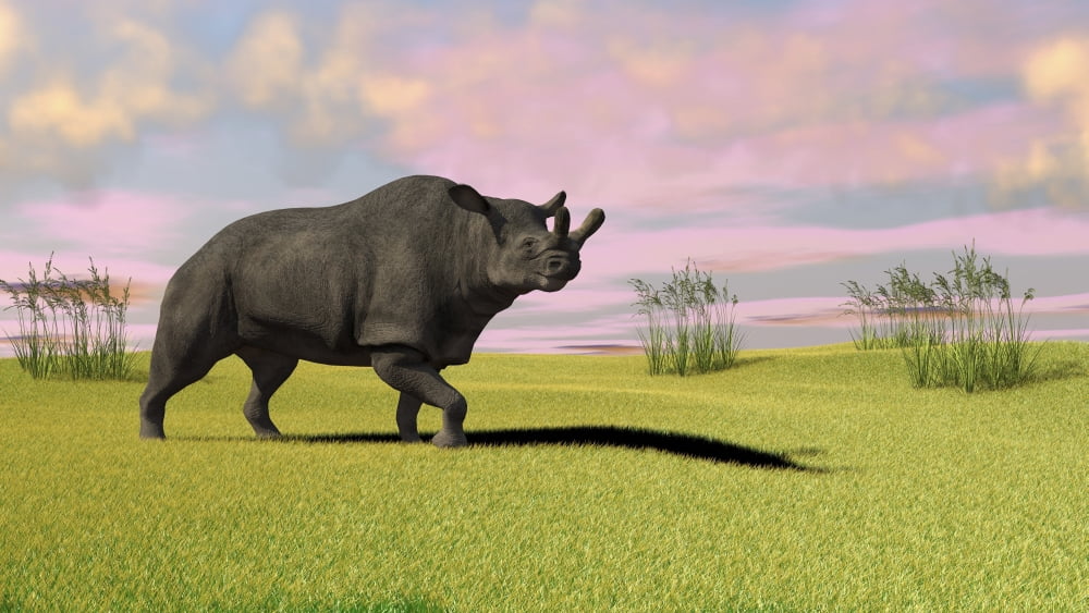 Brontotherium grazing in prehistoric grasslands Canvas Art - Kostyantyn IvanyshenStocktrek Images (38 x 22)
