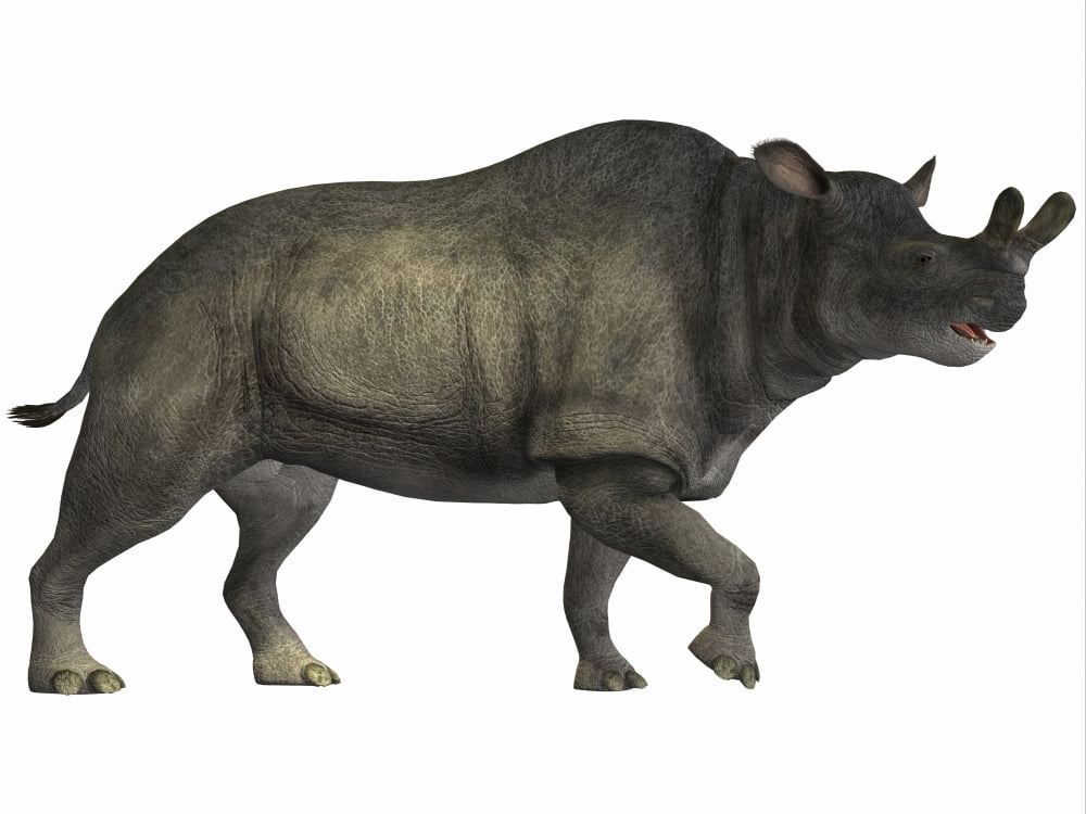 Brontotherium is a rhinocerous-like mammal Canvas Art - Corey FordStocktrek Images (17 x 13)