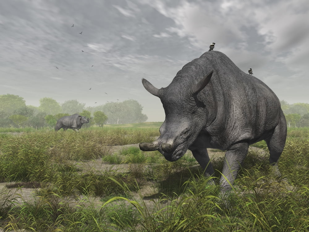 Brontotherium wander the lush late Eocene landscape Canvas Art - Walter MyersStocktrek Images (33 x 25)