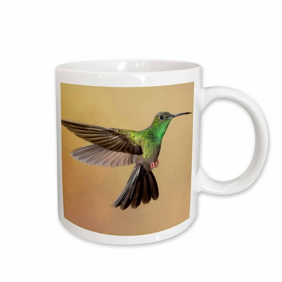 3drose, Bronze-tailed Plumeleteer Flying, Costa Rica, Central America, 11oz Mug