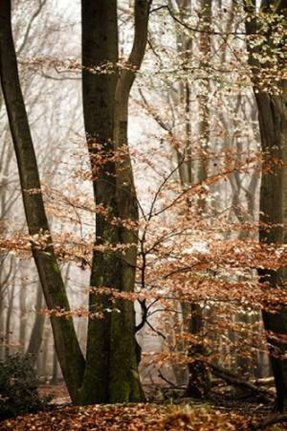 Bronze Tree Canvas Art - Lars Van de Goor (12 x 18)