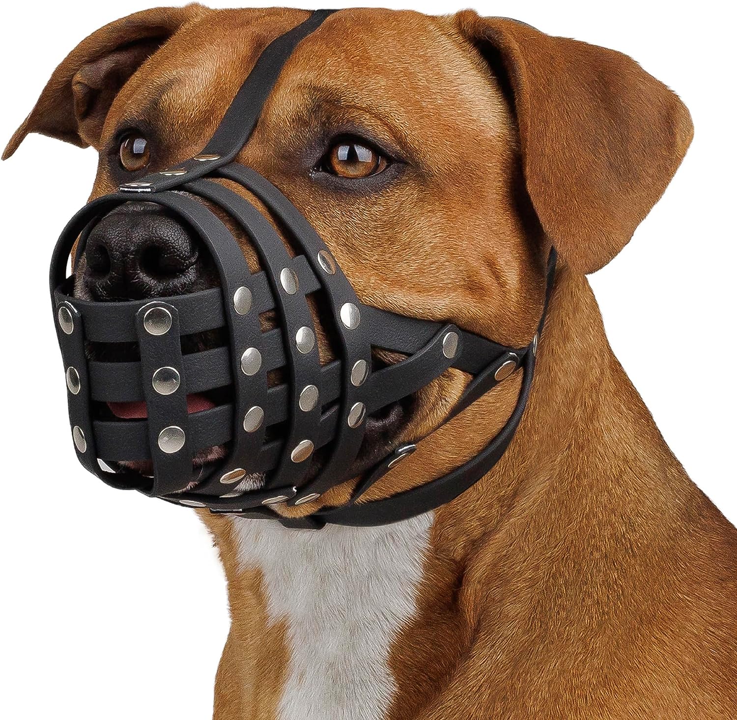BronzeDog Pitbull Dog Muzzle Basket Breathable Mesh Amstaff Pit Bull
