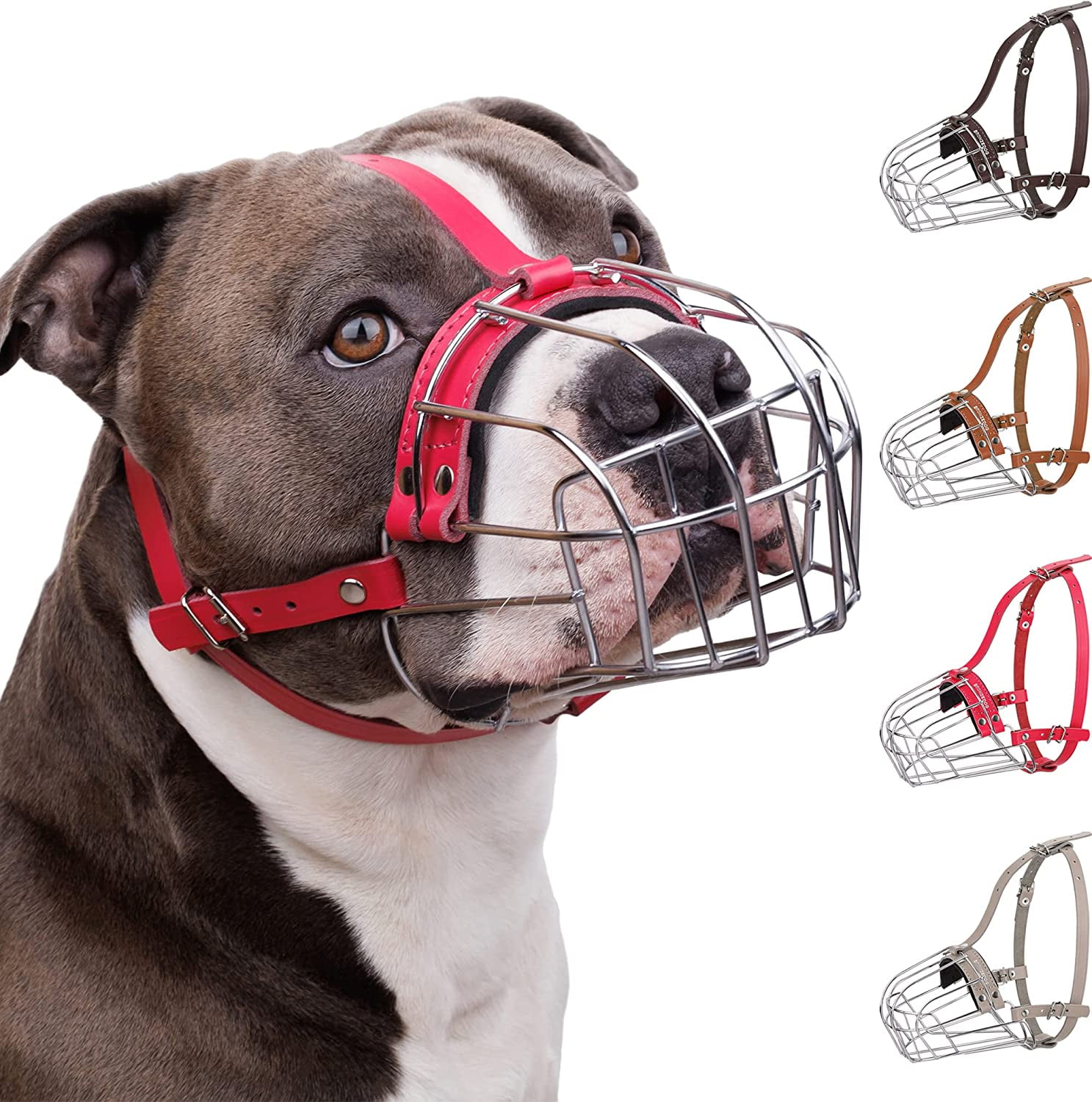 pitbull dog mask