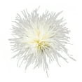 thumbnail image 1 of Brooch Corsages Cloth Decorations Brooch Pins Lapel Pins for Woman Men, 1 of 8