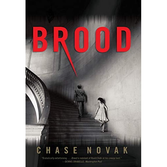 Pre-Owned Brood (Hardcover) 0316228001 9780316228008