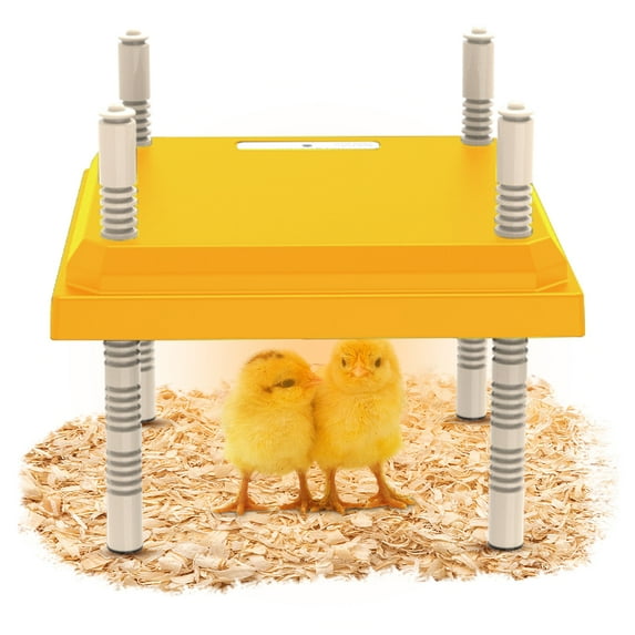 Brooder Heater for Chicks, Chick Brooder Heating Plate with Adjustable Height and Angle, Chicken Brooder Plate for up to 15 Chicks, 25 Height Options(Yellow, 10" x 10")