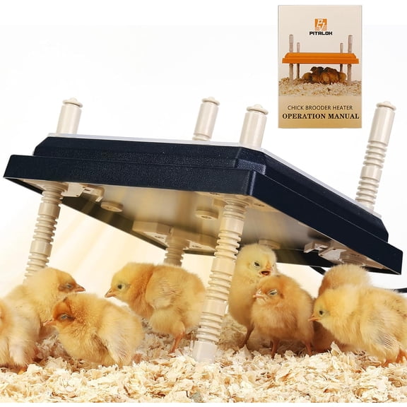 Brooder Heater for Chicks: Chick Brooder Heating Plate with Easy- Cleaning Plate Poultry Coop Heater Chicks Warmer 10" x 10" for 15 Chicks Adjustable Height Brooding Heater 15 Watts