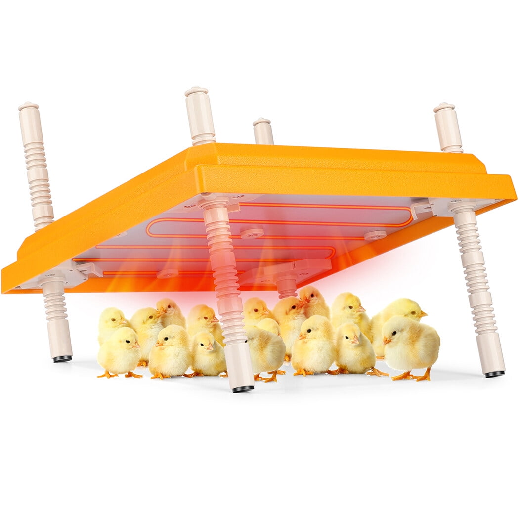 Brooder Heater for Chicks, 10" x 10" Thermostatically Controlled Brooder Heating Plate, Chick