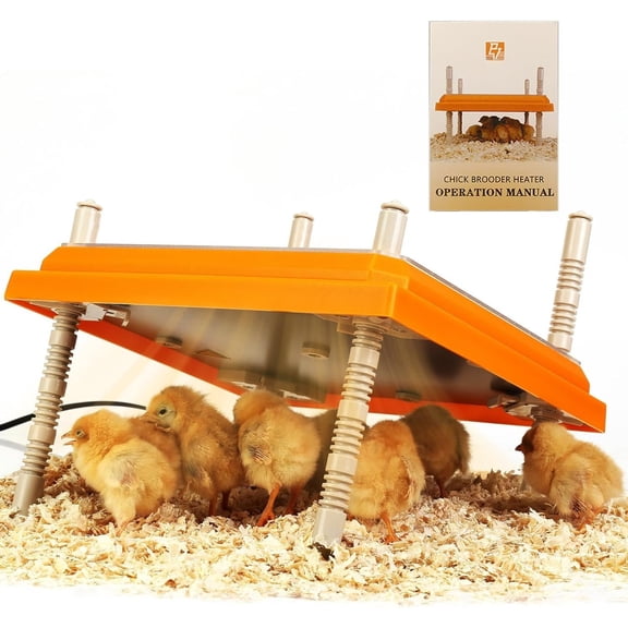 Brooder Heater for Chicks Height Adjustable: Heating Plate with Easy- Cleaning Plate Poultry Coop Warmer 10" x 10" for 15 Chicks