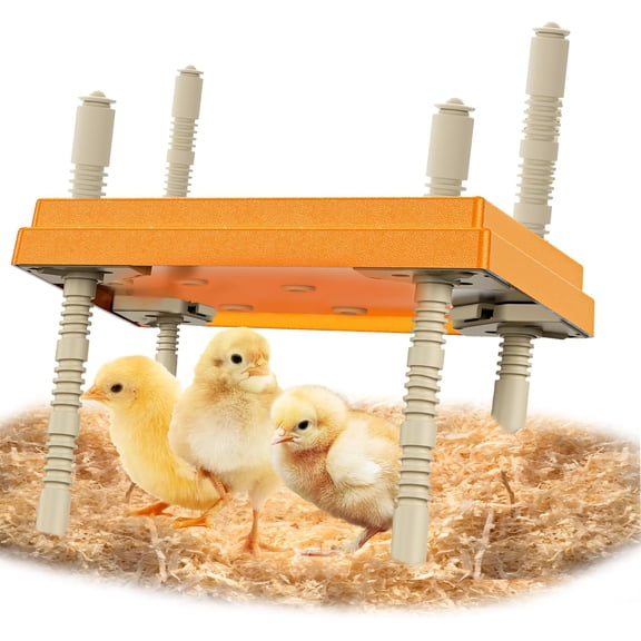 Brooder Plate with Adjustable Temperature & Height,10" x 10" Chick Heat Plate (Orange)