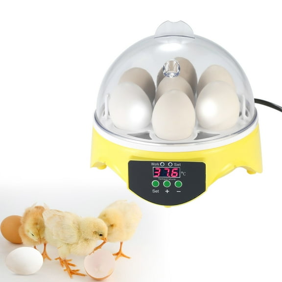 Brooders,7 Incubator Temperature Chicken Duck Siuke Yorten Qnotici Amdohai Incubator 7 Incubator Er Temperature Plug