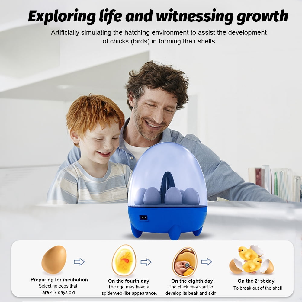 Brooders,Chicken Incubators Duck Incubators 8 Incubator Incubators Duck Quail View Chicken