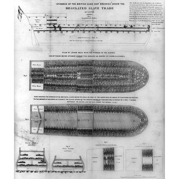 Brookes, British Slave Ship, 1788 Poster Print by Science Source (24 x 36)