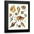 thumbnail image 1 of Brookes, Samuel 12x14 Black Modern Framed Museum Art Print Titled - Shells, Plate 7, 1 of 5