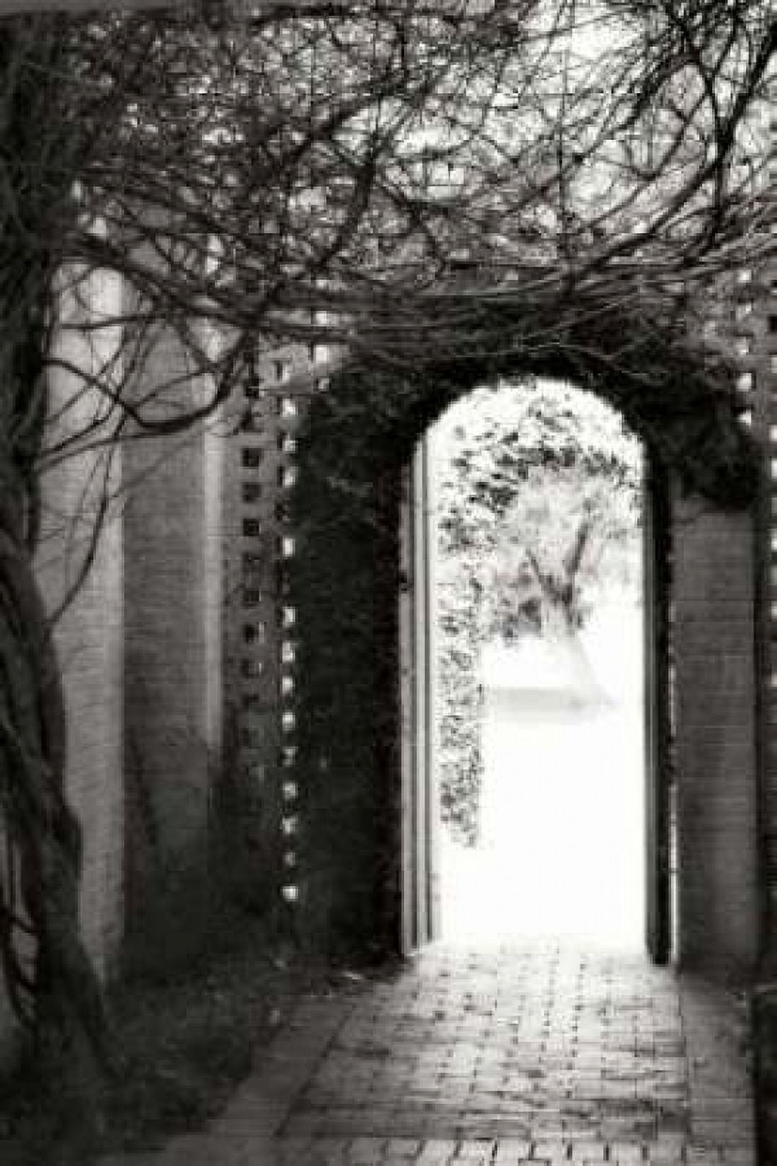 Brookgreen Doorway I Canvas Art - Alan Hausenflock (20 x 28)