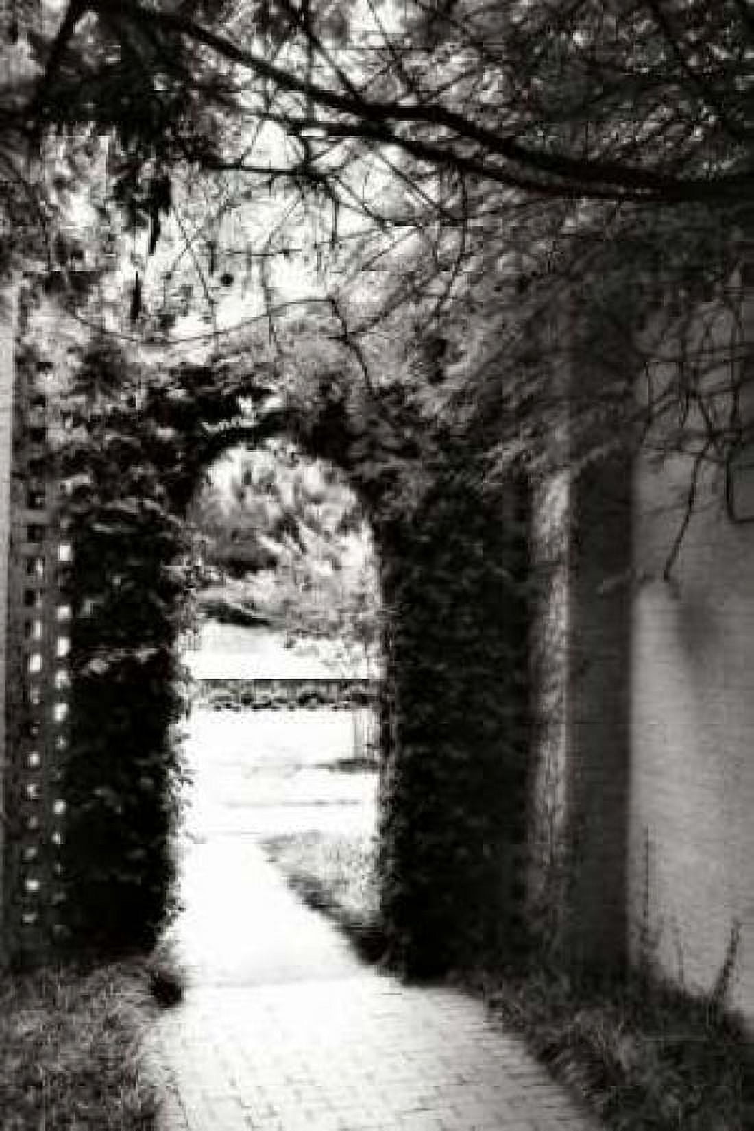 Brookgreen Doorway II Canvas Art - Alan Hausenflock (20 x 28)