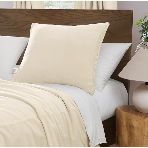 Brooklyn Loom Matte Cotton Velvet European Sham in Off-White, 26 x 26, Cotton , Adult, All Season, OEKO-TEX Certified